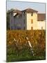 Winery Building and Golden Vineyard in Late Afternoon, Domaine Des Verdots, Conne De Labarde-Per Karlsson-Mounted Photographic Print