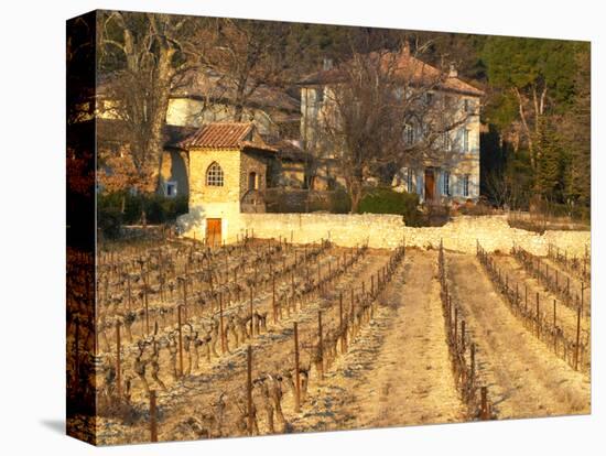 Winery Building at Chateau Saint Cosme, Gigondas, Vaucluse, Rhone, Provence, France-Per Karlsson-Stretched Canvas