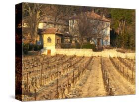 Winery Building at Chateau Saint Cosme, Gigondas, Vaucluse, Rhone, Provence, France-Per Karlsson-Stretched Canvas