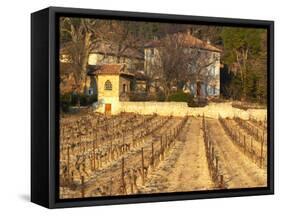 Winery Building at Chateau Saint Cosme, Gigondas, Vaucluse, Rhone, Provence, France-Per Karlsson-Framed Stretched Canvas