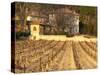 Winery Building at Chateau Saint Cosme, Gigondas, Vaucluse, Rhone, Provence, France-Per Karlsson-Stretched Canvas