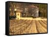 Winery Building at Chateau Saint Cosme, Gigondas, Vaucluse, Rhone, Provence, France-Per Karlsson-Framed Stretched Canvas