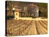 Winery Building at Chateau Saint Cosme, Gigondas, Vaucluse, Rhone, Provence, France-Per Karlsson-Stretched Canvas