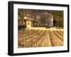 Winery Building at Chateau Saint Cosme, Gigondas, Vaucluse, Rhone, Provence, France-Per Karlsson-Framed Premium Photographic Print