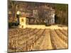 Winery Building at Chateau Saint Cosme, Gigondas, Vaucluse, Rhone, Provence, France-Per Karlsson-Mounted Premium Photographic Print