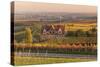 Winery in the Vineyards in Autumn at Sunset-Marcus Lange-Stretched Canvas