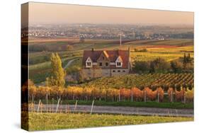 Winery in the Vineyards in Autumn at Sunset-Marcus Lange-Stretched Canvas