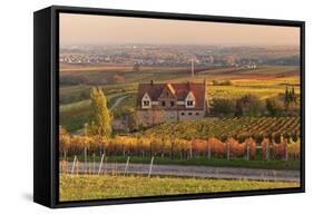 Winery in the Vineyards in Autumn at Sunset-Marcus Lange-Framed Stretched Canvas