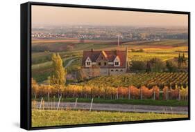 Winery in the Vineyards in Autumn at Sunset-Marcus Lange-Framed Stretched Canvas