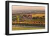 Winery in the Vineyards in Autumn at Sunset-Marcus Lange-Framed Photographic Print