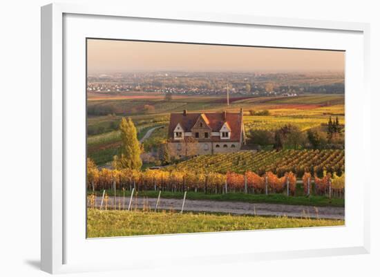 Winery in the Vineyards in Autumn at Sunset-Marcus Lange-Framed Photographic Print