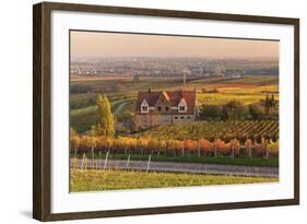 Winery in the Vineyards in Autumn at Sunset-Marcus Lange-Framed Photographic Print