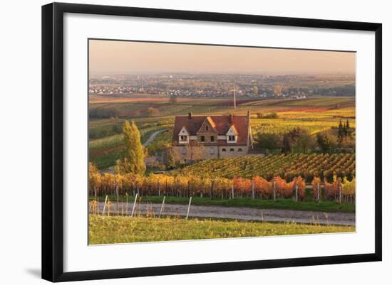 Winery in the Vineyards in Autumn at Sunset-Marcus Lange-Framed Photographic Print