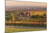 Winery in the Vineyards in Autumn at Sunset-Marcus Lange-Mounted Photographic Print