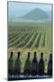 Winery, San Luis Obispo, California, Usa-Natalie Tepper-Mounted Photo