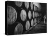 Winery Worker Checking Barrels of Wine-null-Stretched Canvas