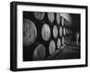 Winery Worker Checking Barrels of Wine-null-Framed Premium Photographic Print