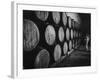 Winery Worker Checking Barrels of Wine-null-Framed Photographic Print