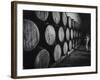 Winery Worker Checking Barrels of Wine-null-Framed Photographic Print