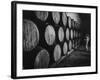 Winery Worker Checking Barrels of Wine-null-Framed Photographic Print