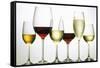 Wines and Champagne-Eising Studio - Food Photo and Video-Framed Stretched Canvas
