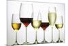 Wines and Champagne-Eising Studio - Food Photo and Video-Mounted Photographic Print