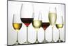 Wines and Champagne-Eising Studio - Food Photo and Video-Mounted Photographic Print