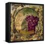 Wines of France II-Sasha-Framed Stretched Canvas