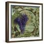 Wines of France III-Sasha-Framed Giclee Print