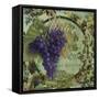 Wines of France III-Sasha-Framed Stretched Canvas