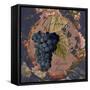 Wines of France IV-Sasha-Framed Stretched Canvas