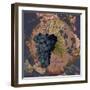 Wines of France IV-Sasha-Framed Giclee Print