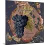 Wines of France IV-Sasha-Mounted Giclee Print