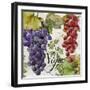 Wines of Paris I-Color Bakery-Framed Giclee Print