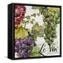 Wines of Paris II-Color Bakery-Framed Stretched Canvas