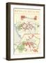 Wines of the Loire, Map-null-Framed Art Print