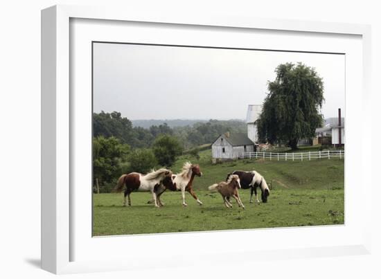 Winesberg Ohio-Robert Goldwitz-Framed Photographic Print