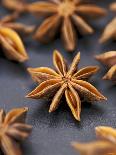 Star Anise-Winfried Heinze-Photographic Print