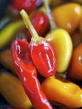 Several Chili Peppers-Winfried Heinze-Photographic Print