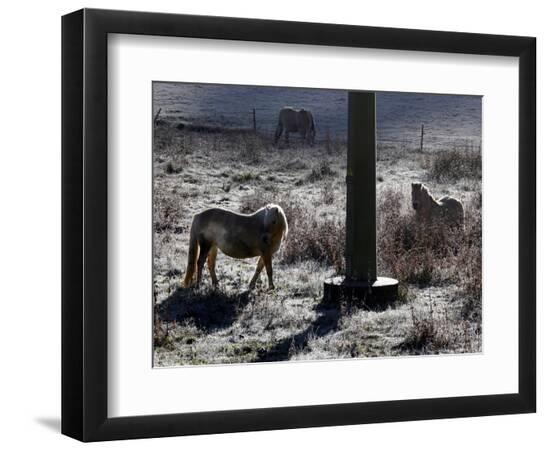 Photographic Print, , large