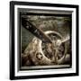 Wing and a Prayer-Mindy Sommers-Framed Giclee Print