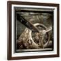 Wing and a Prayer-Mindy Sommers-Framed Giclee Print