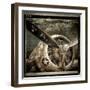 Wing and a Prayer-Mindy Sommers-Framed Giclee Print