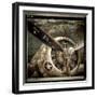 Wing and a Prayer-Mindy Sommers-Framed Giclee Print