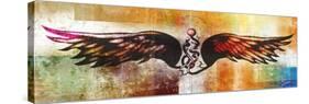 Wing Dream 2-Greg Simanson-Stretched Canvas