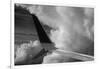 Wing Number 4-Steve Gadomski-Framed Photographic Print