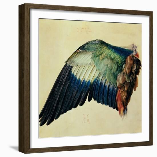 Wing of a Blue Roller, 1512-Albrecht Dürer-Framed Giclee Print