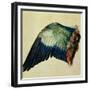 Wing of a Blue Roller, 1512-Albrecht Dürer-Framed Giclee Print