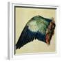 Wing of a Blue Roller, 1512-Albrecht Dürer-Framed Giclee Print