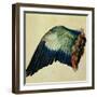 Wing of a Blue Roller, 1512-Albrecht Dürer-Framed Giclee Print